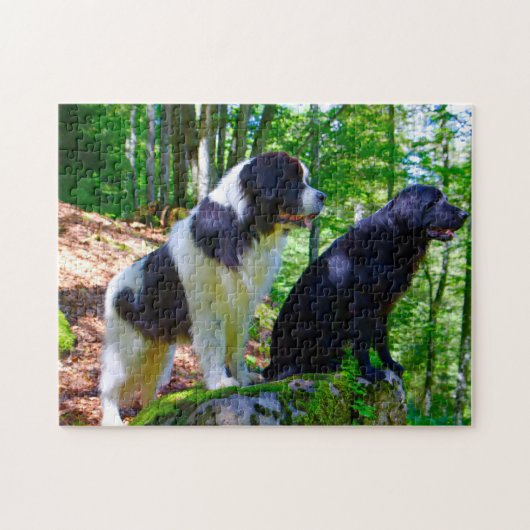 Landseer hond. legpuzzel (Horizontaal)