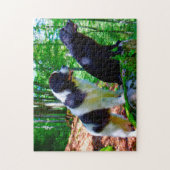 Landseer hond. legpuzzel (Verticaal)