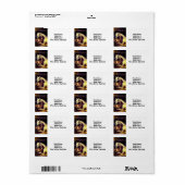 Landseer Horses Etiket (Full Sheet)