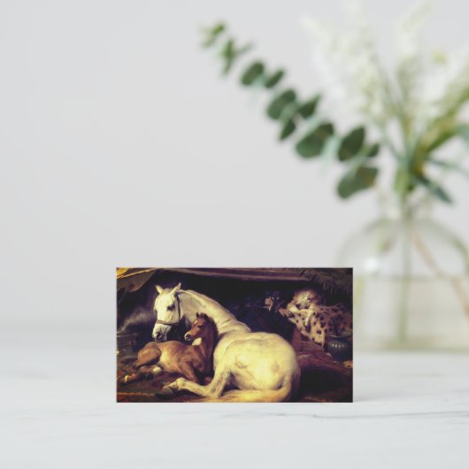 Landseer Horses Informatiekaartje (Staand voorkant)