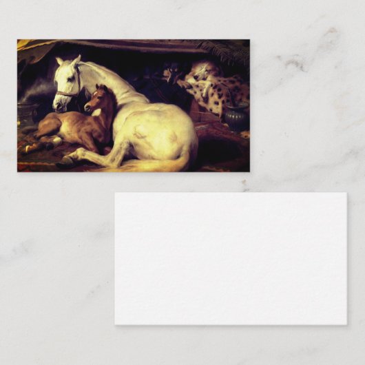 Landseer Horses Informatiekaartje (Voorkant / Achterkant)