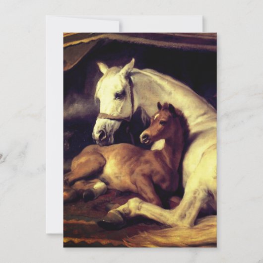 Landseer Horses Kaart (Voorkant)