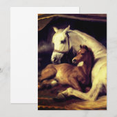 Landseer Horses Kaart (Voorkant / Achterkant)