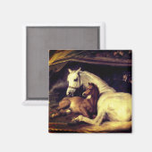 Landseer Horses Magneet (Voorkant / Achterkant)