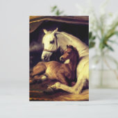Landseer Horses RSVP Kaartje (Staand voorkant)