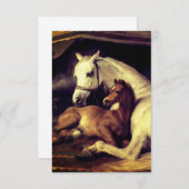 Landseer Horses RSVP Kaartje (Voorkant / Achterkant)