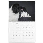 Landseer Liefde Kalender (Feb 2027)