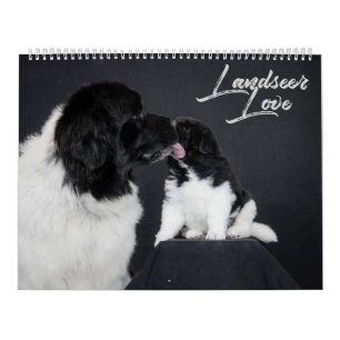 Landseer Liefde Kalender