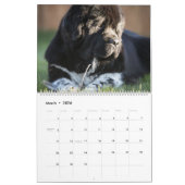 Landseer Love Kalender (Mar 2026)