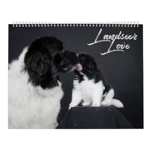 Landseer Love Kalender (Hoes)