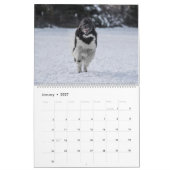 Landseer Love Kalender (Jan 2027)
