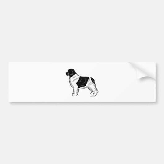 Landseer Newfoundland Bumpersticker (Voorkant)