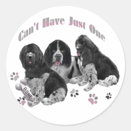 LANDSEER NEWFOUNDLAND CAN'T HAVE JUST ONE RONDE STICKER (Voorkant)