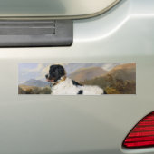 Landseer Newfoundland Dog (zwart en wit dier) Bumpersticker (Op auto)