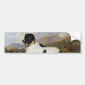 Landseer Newfoundland Dog (zwart en wit dier) Bumpersticker (Voorkant)