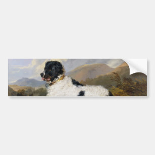 Landseer Newfoundland Dog (zwart en wit dier) Bumpersticker