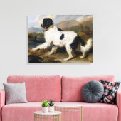 Landseer Newfoundland Dog (zwart en wit dier) Canvas Afdruk (Insitu (Woonkamer))