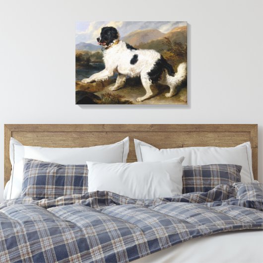 Landseer Newfoundland Dog (zwart en wit dier) Canvas Afdruk (Insitu (Slaapkamer))