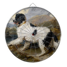 Landseer Newfoundland Dog (zwart en wit dier)