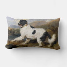 Landseer Newfoundland Dog (zwart en wit dier)