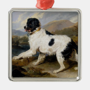 Landseer Newfoundland Dog (zwart en wit dier) Metalen Ornament