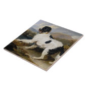 Landseer Newfoundland Dog (zwart en wit dier) Tegeltje (Zijkant)