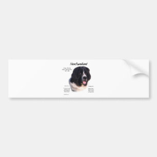 Landseer Newfoundland Geschiedenis; Ik hou van New Bumpersticker