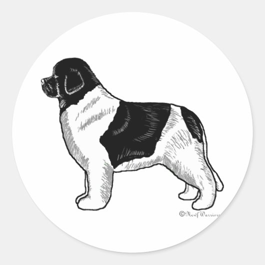 Landseer Newfoundland Ronde Sticker (Voorkant)