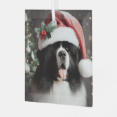 Landseer Nieuw in een Sparkly Santa Hat Glas Ornament (Voorkant links)
