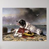 Landseer Saved Poster (Voorkant)