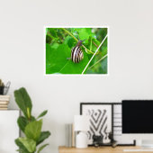 Landslak op een lefdruk poster (Thuiskantoor)