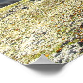 Landstrook in een vorst landschap poster (Hoek)