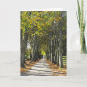 Landstrook op Jersey Feestdagen Kaart (Voorkant)