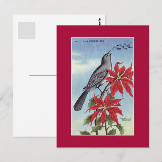 Landvogel van Florida en bloem (spotvogel) Briefkaart (Voorkant / Achterkant)