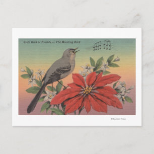 Landvogel van FloridaMocking BirdFlorida Briefkaart