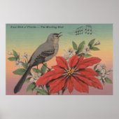 Landvogel van FloridaMocking BirdFlorida Poster (Voorkant)