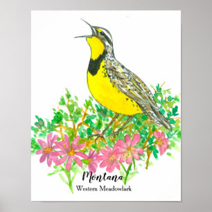 Landvogel van Montana Meadowlark Bitterroot Flower Poster