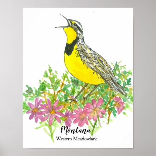 Landvogel van Montana Meadowlark Bitterroot Flower Poster (Voorkant)