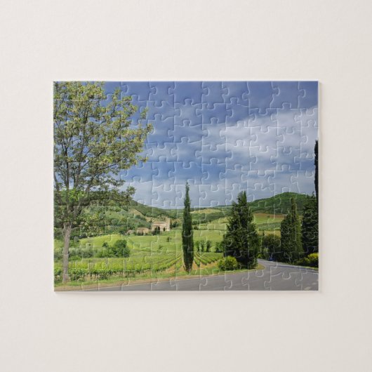 Landweg die kromt tussen cipressen in legpuzzel (Horizontaal)