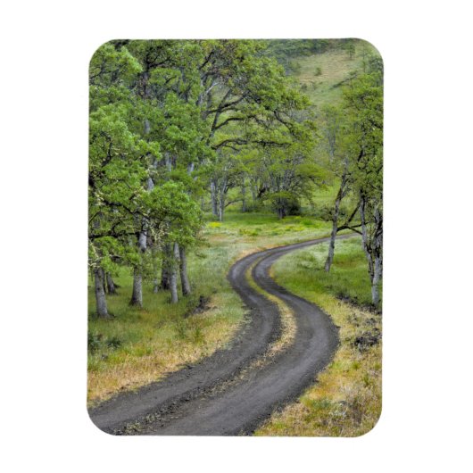 Landweg door bomen, Oregon Magneet (Verticaal)