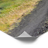 Landweg door bomen, Oregon Poster (Hoek)