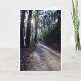 Landweg door bos kaart