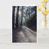 Landweg door bos kaart (Gele Bloem)