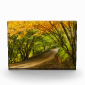 Landweg in de Herfst Fotoblokken (Voorkant)