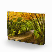 Landweg in de Herfst Fotoblokken (Rechts)