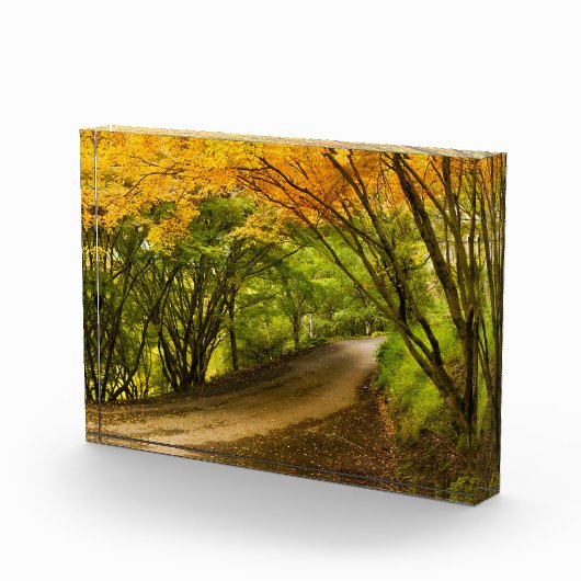 Landweg in de Herfst Fotoblokken (Rechts)