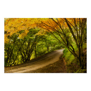Landweg in de Herfst Perfect Poster