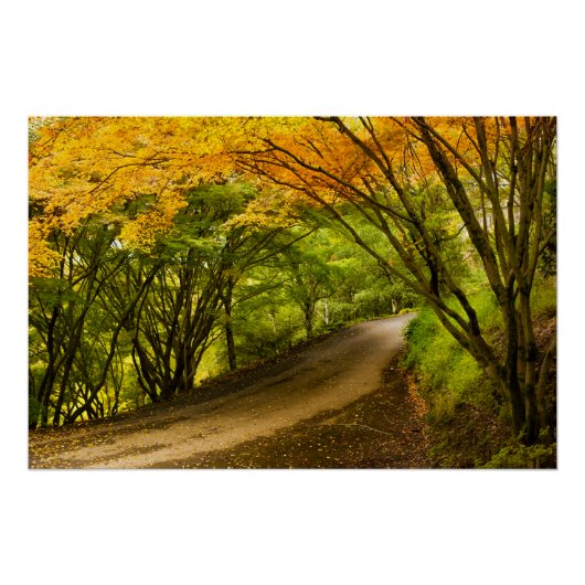 Landweg in de Herfst Perfect Poster (Voorkant)