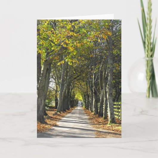 Landweg in Jersey Feestdagen Kaart (Voorkant)