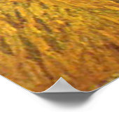 Landweg met cipres Vincent van Gogh Poster (Hoek)